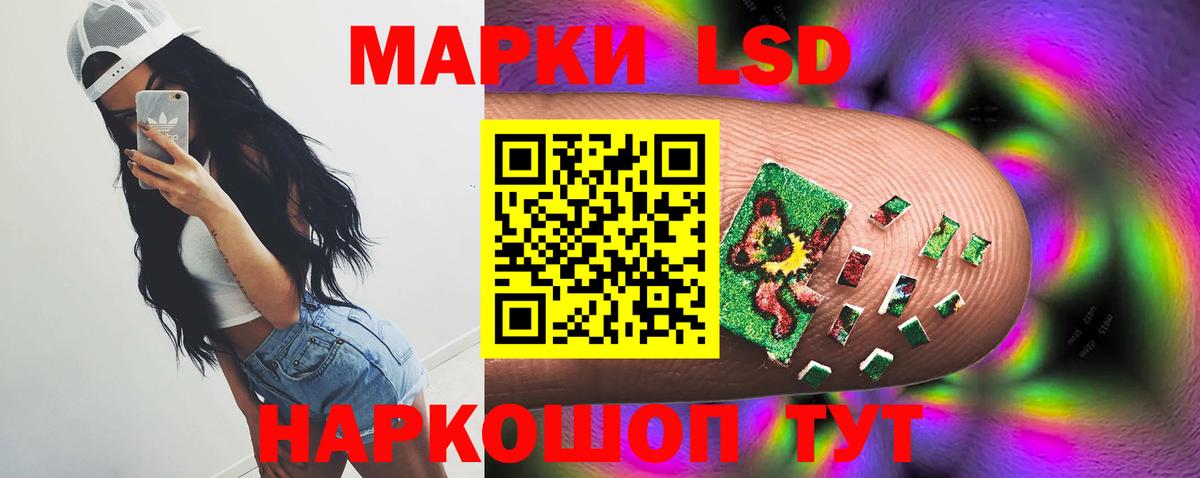 МЕФ Зима