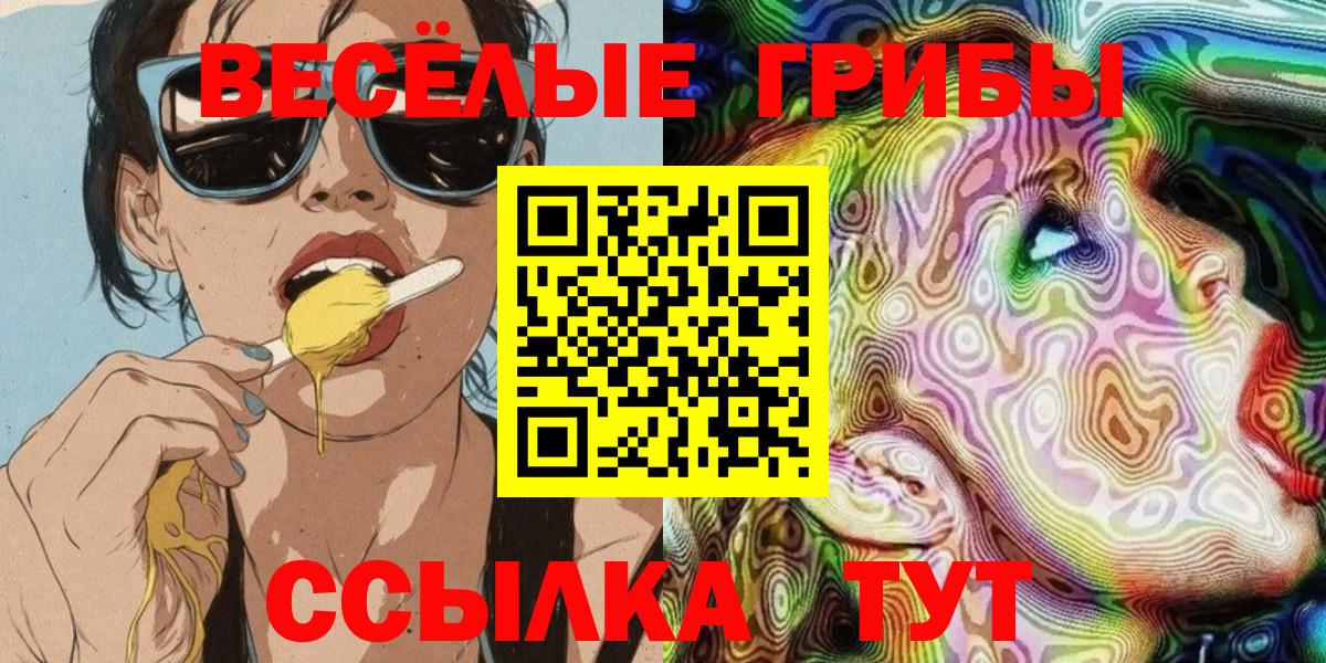 Галлюциногенные грибы GOLDEN TEACHER Зима