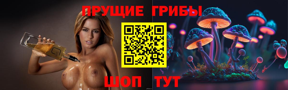 Галлюциногенные грибы Cubensis  Вход с VPN  как найти   Зима  Псилоцибиновые грибы GOLDEN TEACHER 