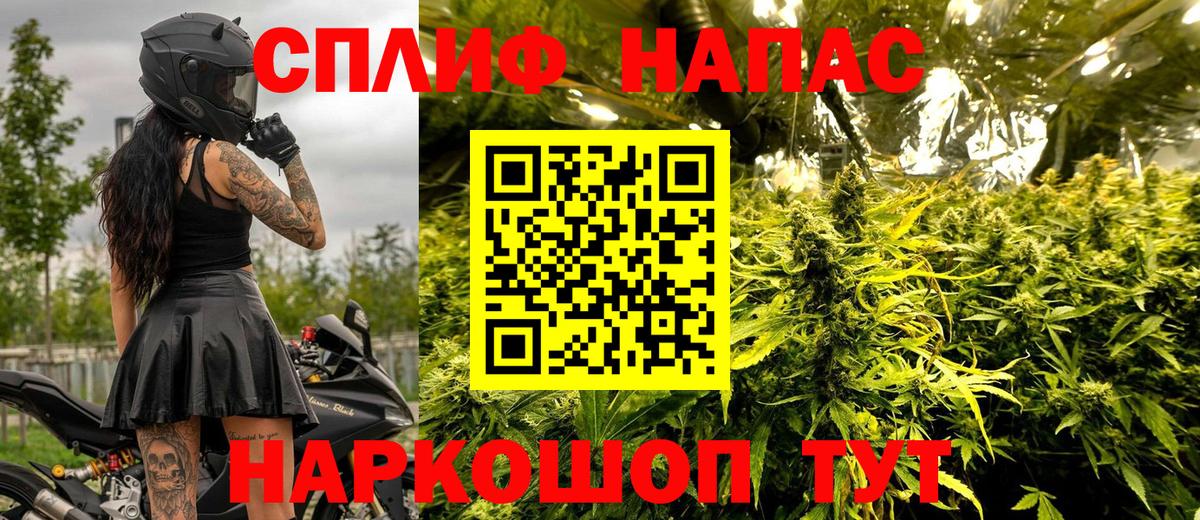 Бошки Шишки AK-47  Вход с VPN  Зима  Шишки марихуана индика  Марихуана конопля 